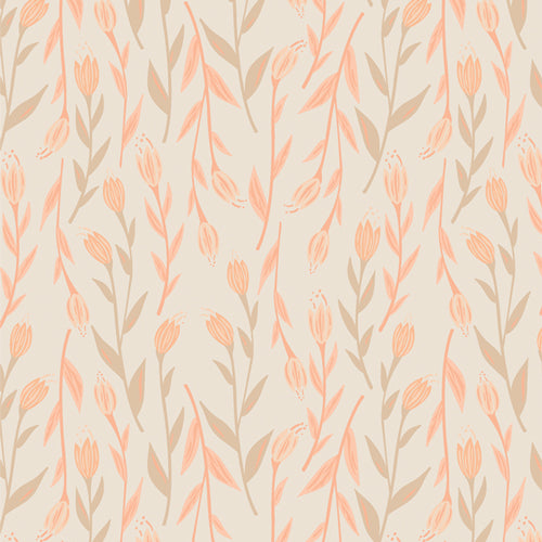 Nectarine Fusion - Whispers Inbloom Nectarine