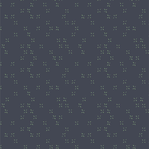 Lilliput - Twinkle Twinkle Galaxy